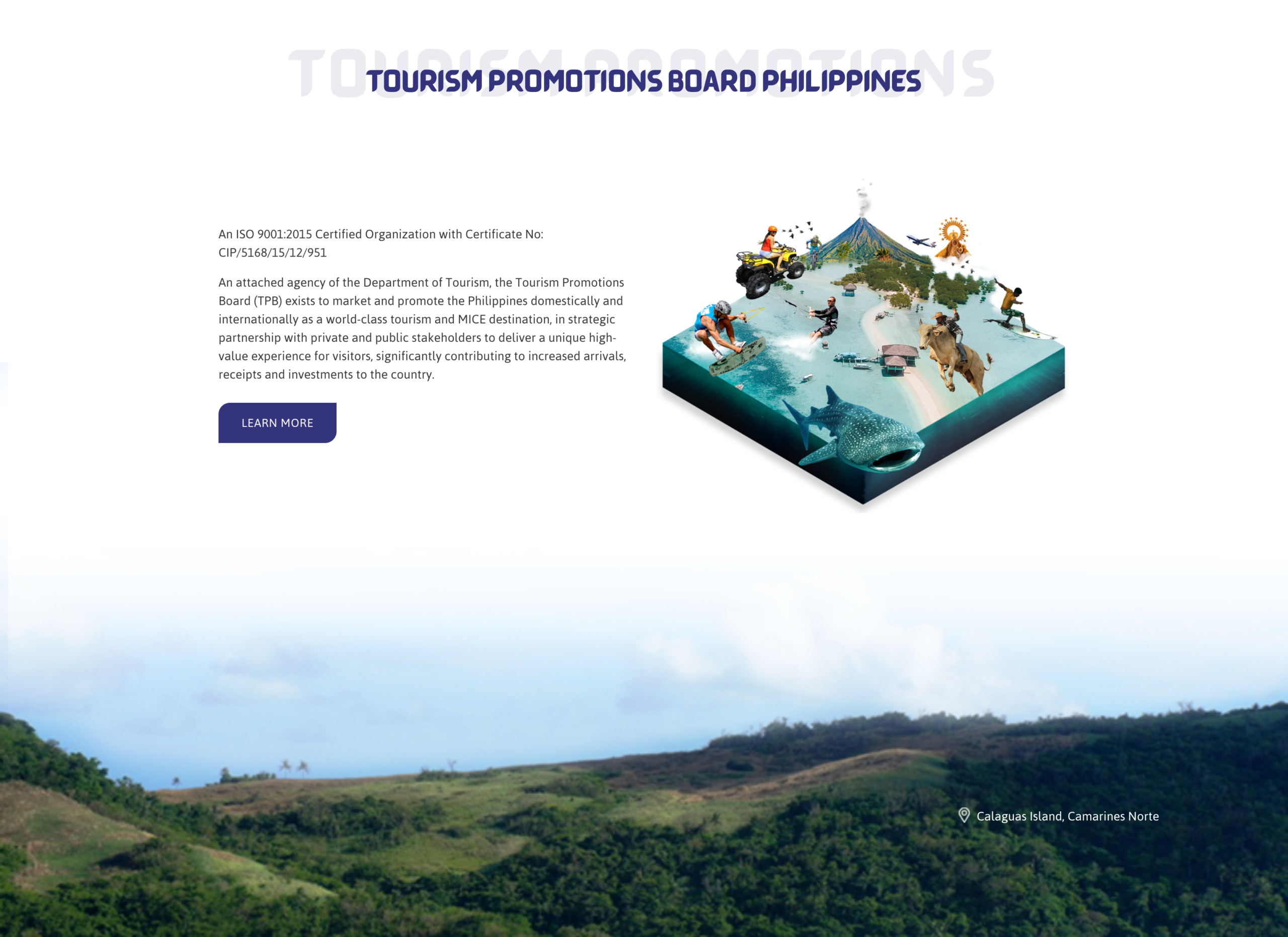 Website